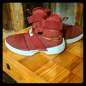 Burgundy Nike LeBrons